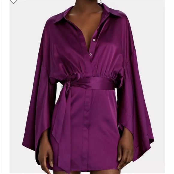 Retrofete Scottie Silk Mini Shirt Dress - Picture 8 of 15